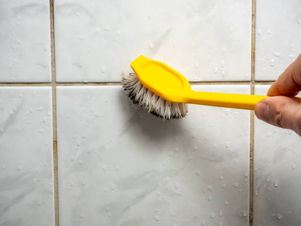 Best Basement Mold Remediation in Ladera Ranch, CA