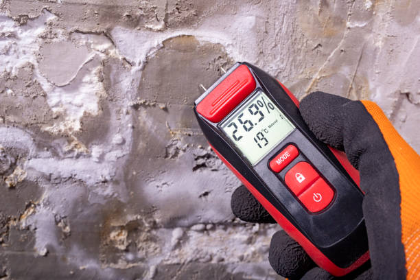 Best Industrial Mold Remediation in Ladera Ranch, CA
