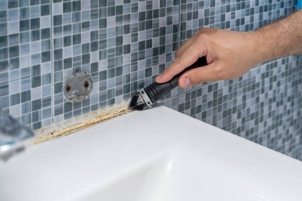 Best Black Mold Remediation in Ladera Ranch, CA