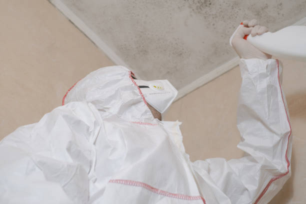 Ladera Ranch, CA Mold Remediation Company