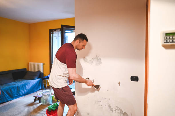 Best Mold Remediation for Schools in Ladera Ranch, CA