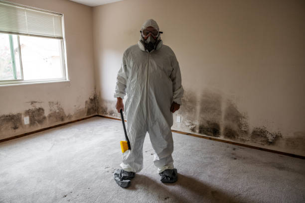 Best Mold Remediation for Specific Building Types in Ladera Ranch, CA