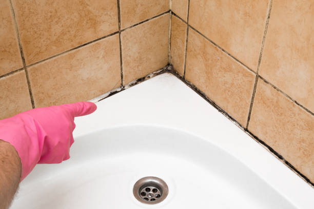 Best Emergency Mold Remediation in Ladera Ranch, CA